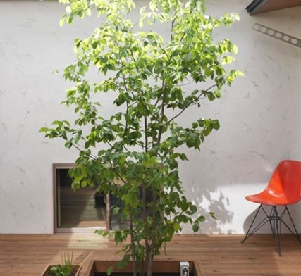 首都圏の狭小住宅を得意とするt Wの 狭い家 の魅力と工夫 東京の狭小住宅の間取り 3階建て T W