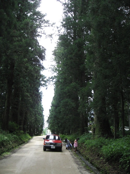 雑感―自己紹介